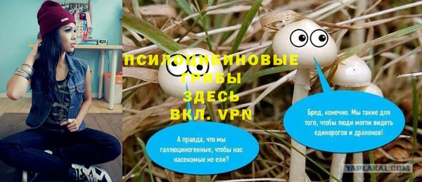 гашик Абаза