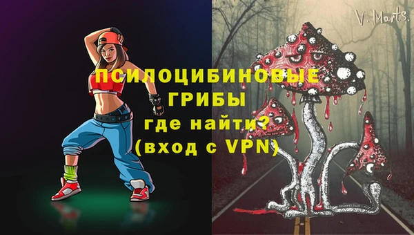 гашик Абаза