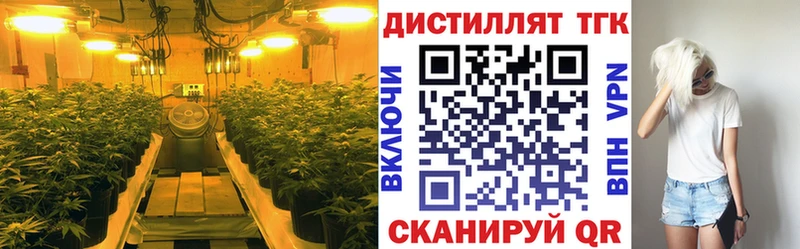 ТГК THC oil  что такое   Брюховецкая 