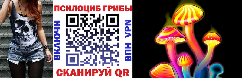 Псилоцибиновые грибы Psilocybe Брюховецкая