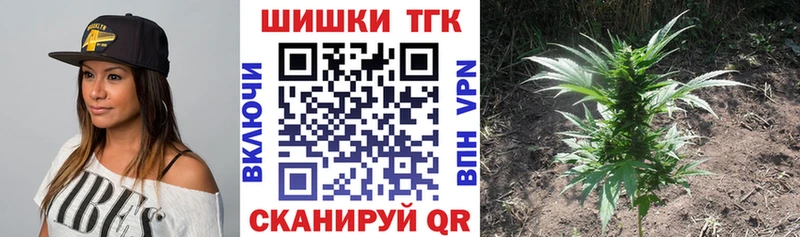 Марихуана сатива  Брюховецкая 
